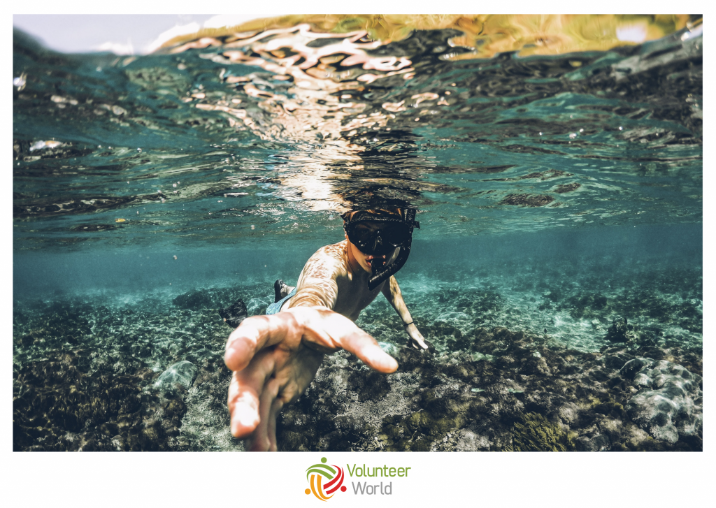 diving volunteer programs in portugal in october