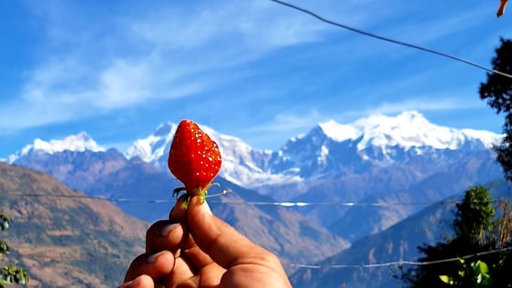 a  View of Vlamchaur Lamjung 