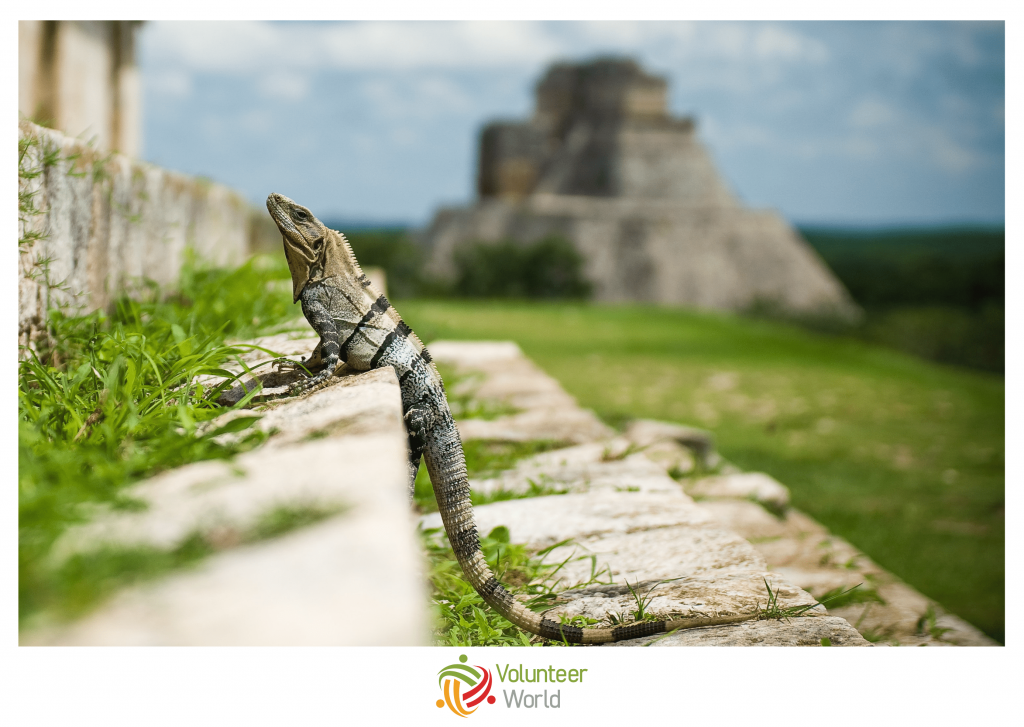 maya ruins in belize