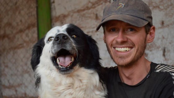 animal lovers can help in Peru