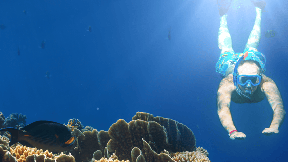 Marine conservation volunteers in Australia