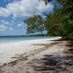 volunteer in Tanzania