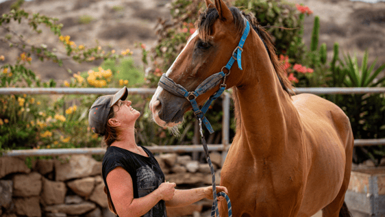 One of our volunteers with horse Geronimo.