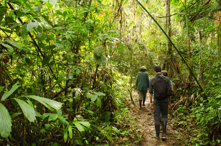 Amazon Rainforest Conservation | Volunteer in Peru 2026