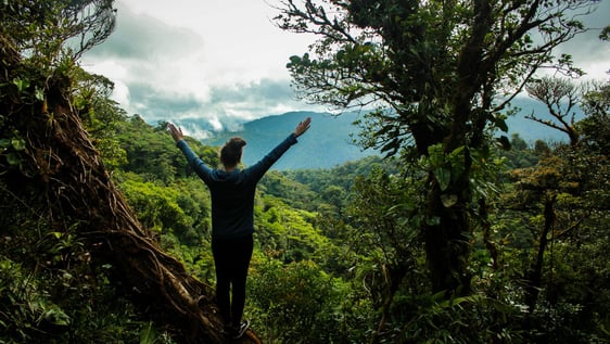 National Park Costa Rica