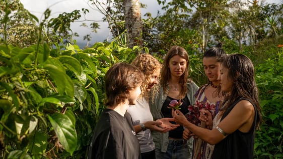Volunteers Eco Farming
