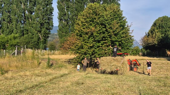 Community Work Patagonia