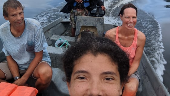 Manatee tour