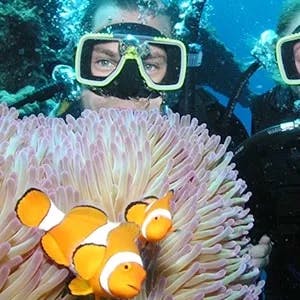 Volunteer in Scuba Diving