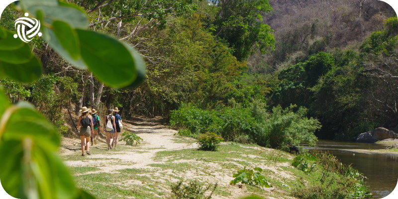 volunteers walking in mexico
