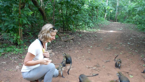 Volunteer wildlife program in Kumasi and at Boabeng Fiema.