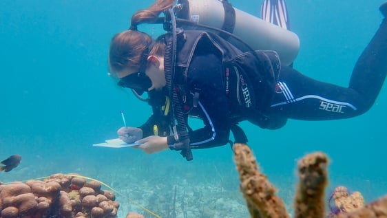 Conducting our surveys for our ecological monitoring program.
