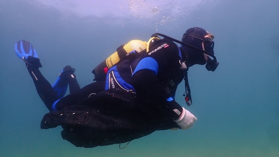 Marine Conservation in Barcelona
