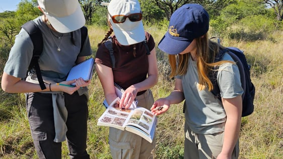 Students and volunteers supporting dehorning research and conservation work