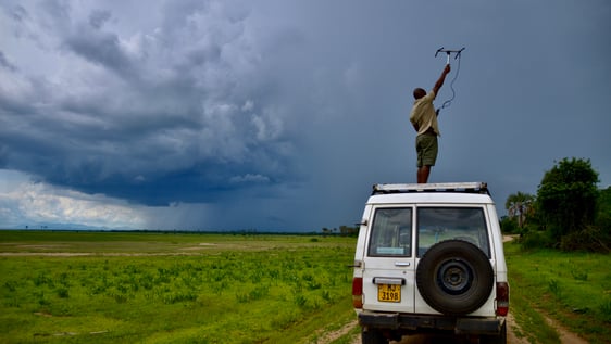 Our volunteers tracking wildlife