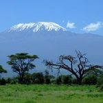 volunteer in Tanzania