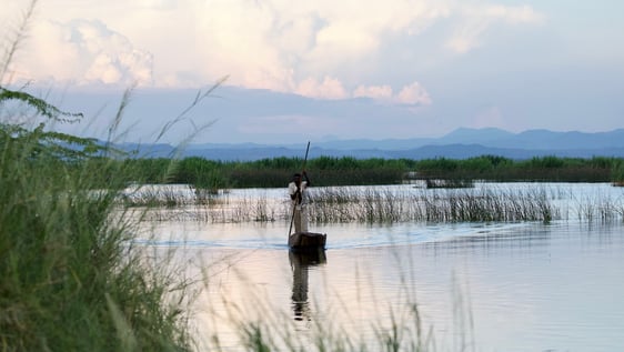Volunteer canoeing in Elephant Marsh