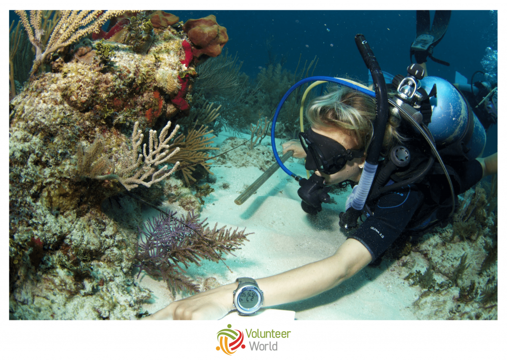conservation with reef ci