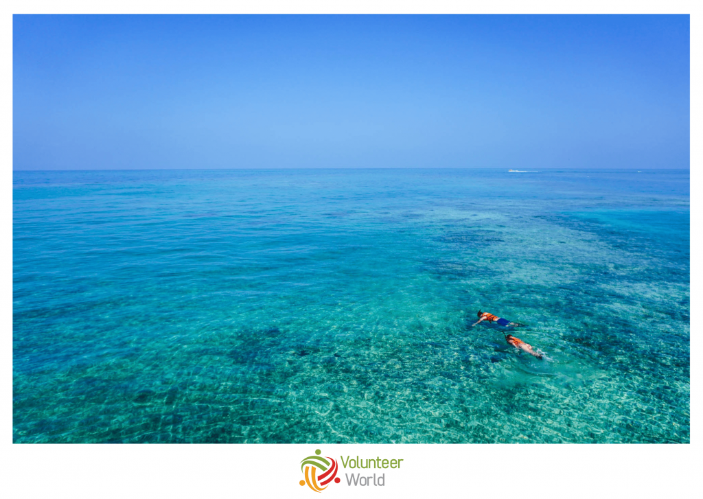 snorkeling belize barrier reef