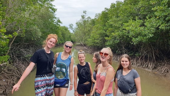 volunteers in the mangroves
