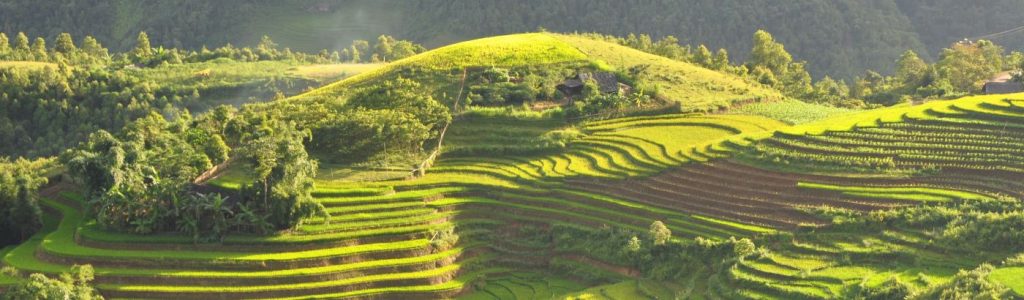 volunteer in asia