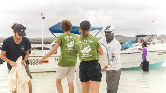 Participants taking part on a beach clean-up. 