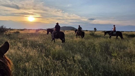 Volunteers on an out-ride on the farm.