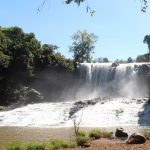 Volunteer in Cambodia