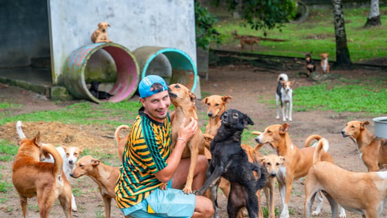 Volunteer caring for rescued street dogs at the sanctuary near Galle, Sri Lanka