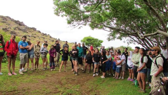 Volunteer on Easter Island