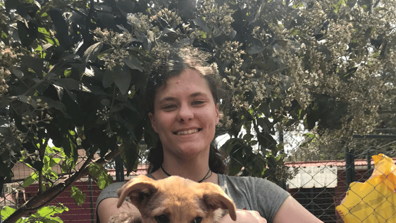 A little puppy found on the street.