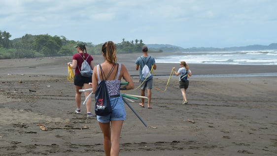 beach cleaning