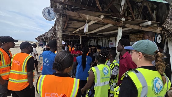 Volunteer in action: Mombasa Marine Conservation 