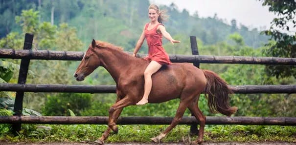 Volunteer with Animals | Programs, Guidance & Reviews