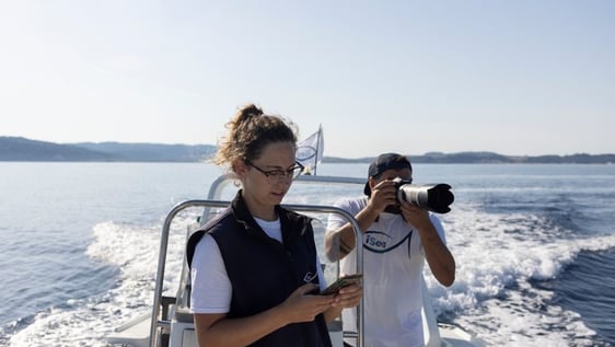 Protected Marine Area Conservation