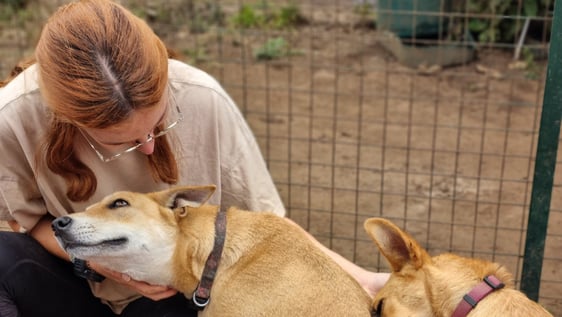 Volunteers giving love to our disabled animals