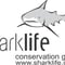 Sharklife Conservation Group