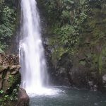 volunteer in costa rica