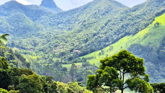 Our majestic views!