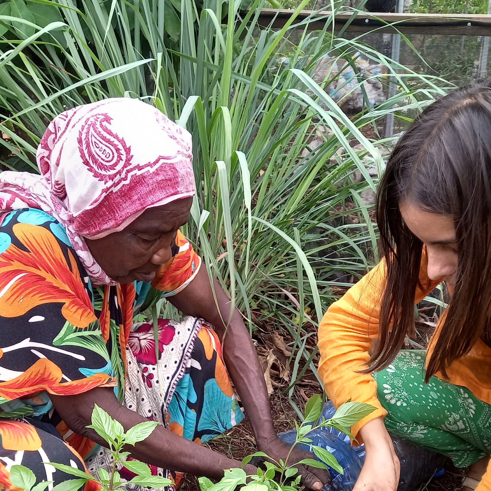 Environmental Conservation Assistant | Volunteer in Tanzania 2026