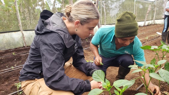 Intern on the Sustainable Agriculture Project