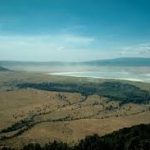 volunteer in Tanzania
