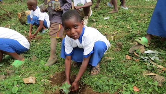 Reforestation is for everyone here in Rwanda