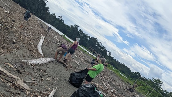 Beach cleaning.
