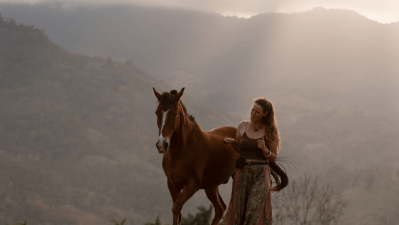 Horse Connection