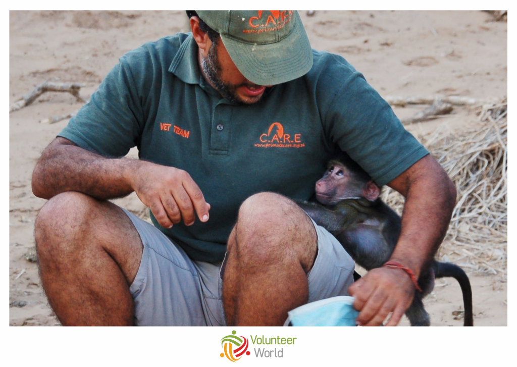 volunteer in south africa in november