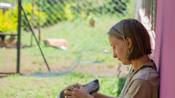 Volunteer with a dog, the best friend of humans