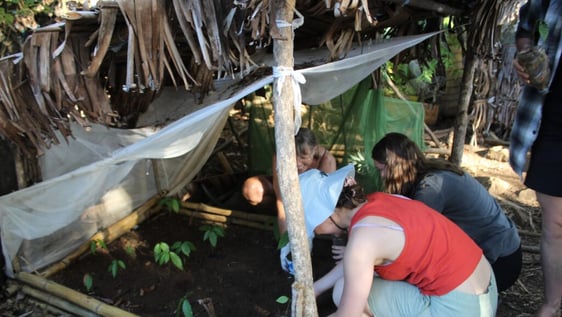 Forest conservation volunteers surveying wildlife on Nosy Komba, Madagascar