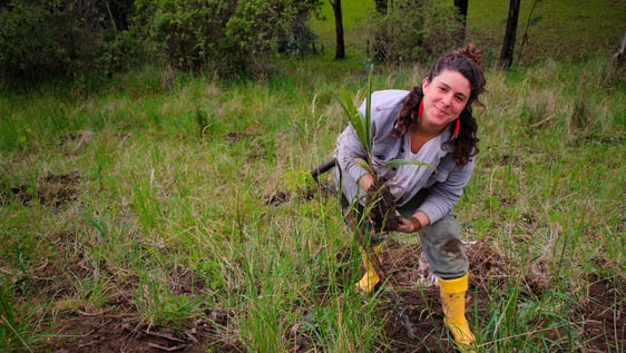 Volunteers working Ecuador Internship Andes Rural