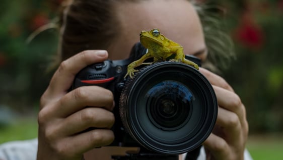 Capture our natural beauty